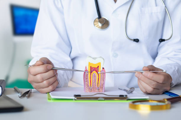 Reliable SC Emergency Dental Service Solutions